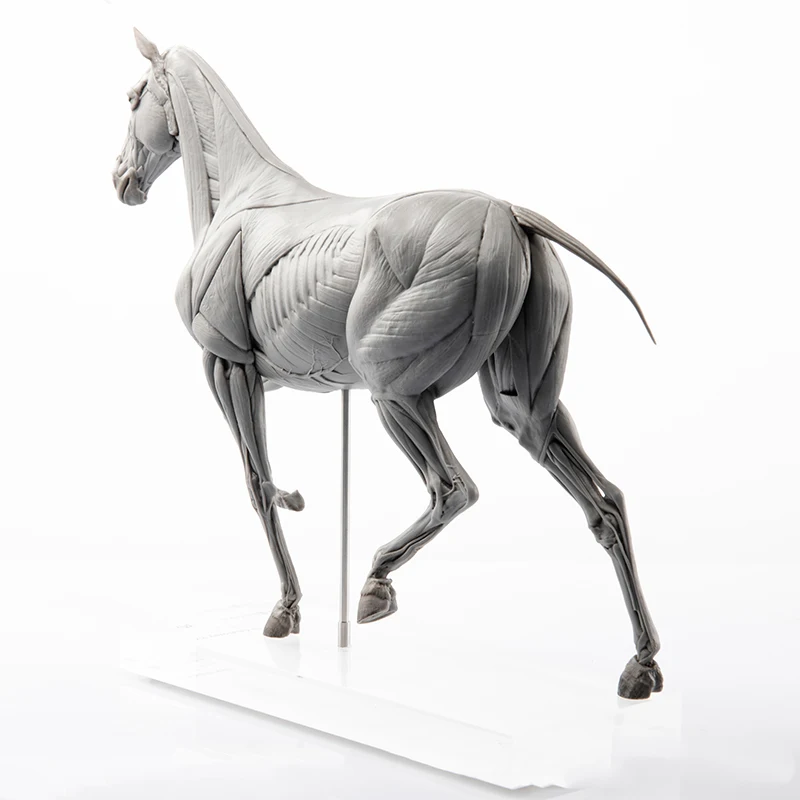 EVOLABORATORY Horse Muscle Ana - Resin Art Gift For Birthday incelemesi ve fiyatı