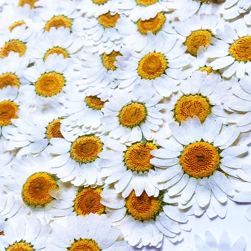 100Pcs Natural White Crystal C - Resin Art Phone Case incelemesi ve fiyatı