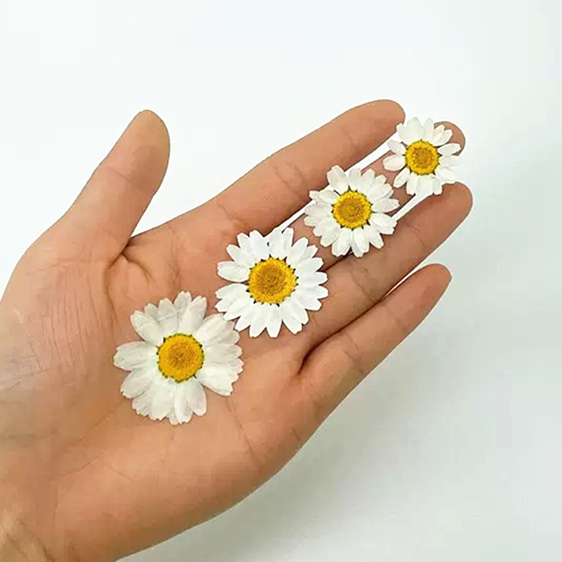 100Pcs Natural White Crystal C - Resin Art Phone Case incelemesi ve fiyatı